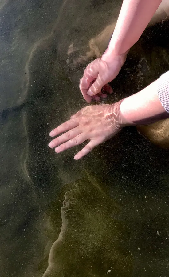 I'll Reach Out (2020)