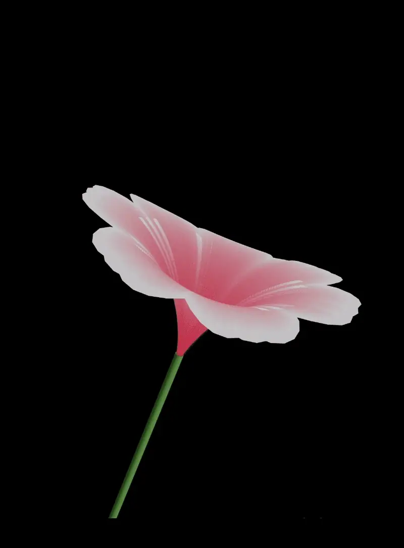 Auraflora